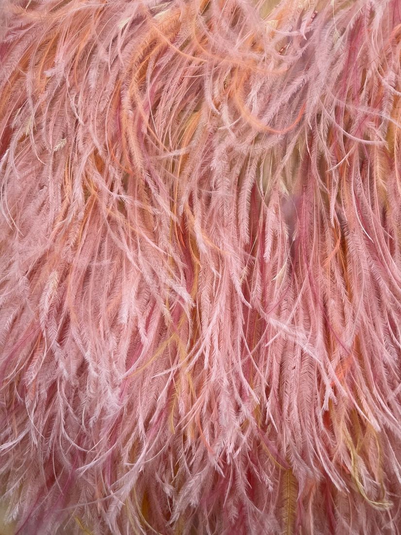 Feather fabric swatch
