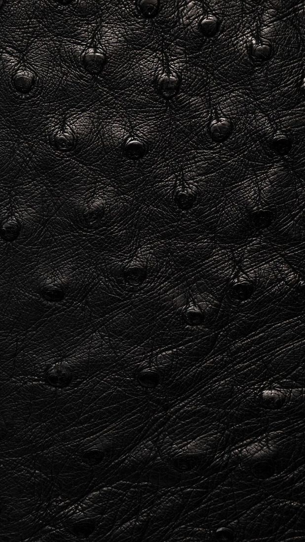 Ostrich fabric swatch